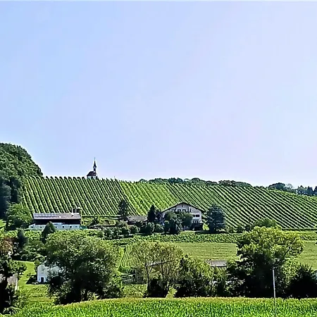 G5 - Das Chalet Am Waldrand * Sankt Stefan im Rosental