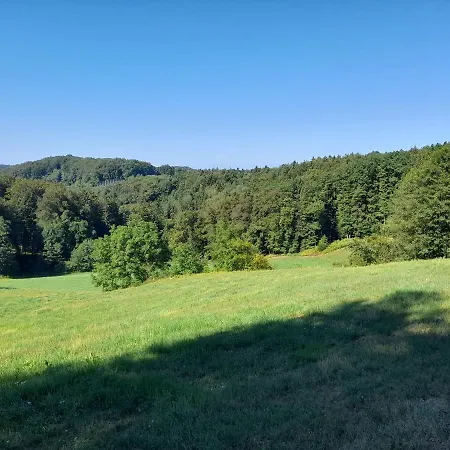 Holiday home G5 - Das Chalet Am Waldrand