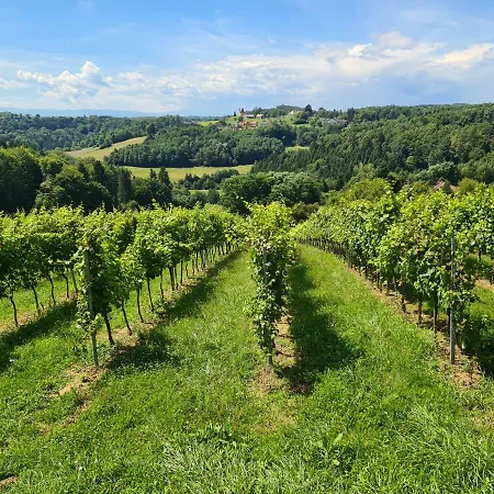 Holiday home G5 - Das Chalet Am Waldrand *