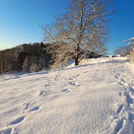 G5 - Das Chalet Am Waldrand Holiday home
